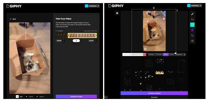 GIPHY