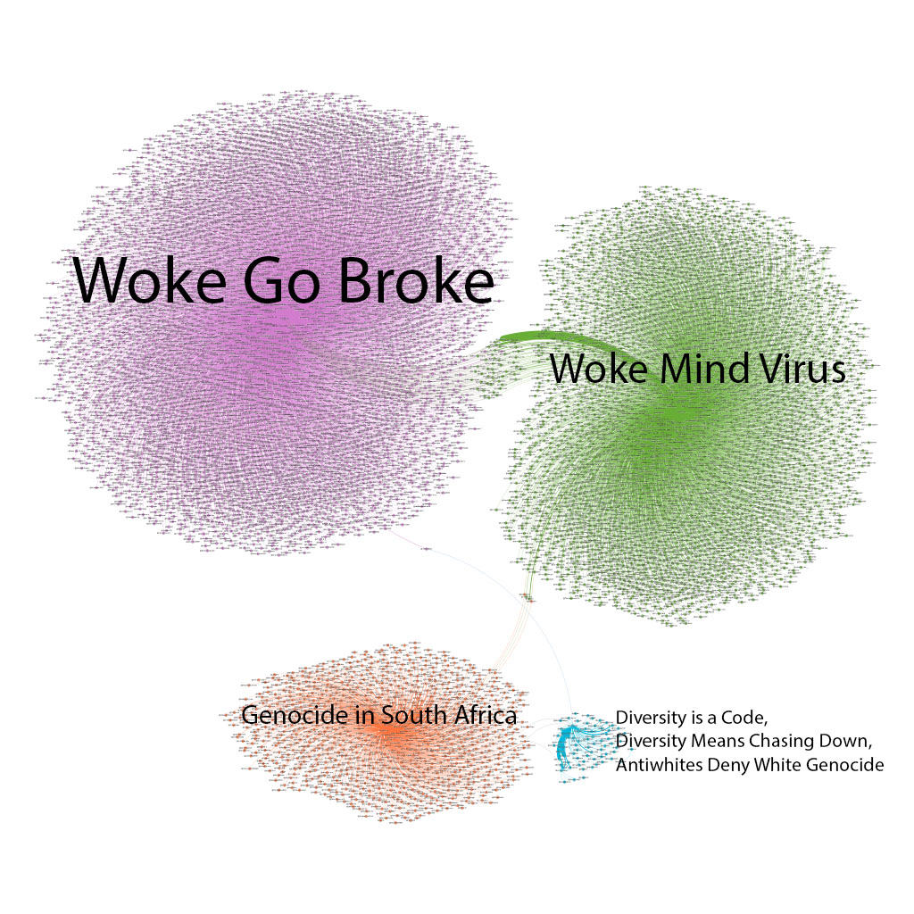 A network graph with four labeled clusters of densely connected accounts: a large purple cluster 'Woke Go Broke,' a green cluster 'Woke Mind Virus,' an orange cluster 'Genocide in South Africa,' and a small blue cluster labeled 'Diversity is a Code, Diversity Means Chasing Down, Antiwhites Deny White Genocide.' Edges connect the clusters, showing overlap between the communities sharing each slogan.